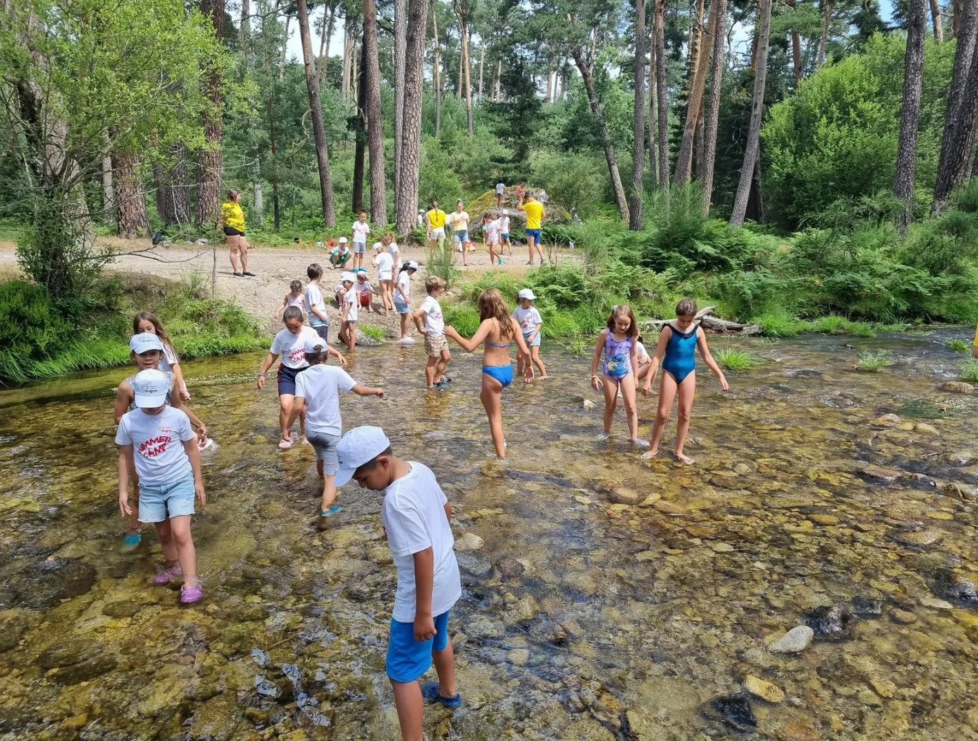 Guardianes del Bosque